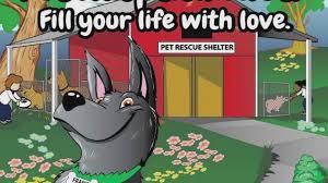 For almost 20 years, atlanta animal rescue friends has worked to create a world where every pet matters. Frankie The Dog Books Series Excites Children About Pet Rescue 11alive Com