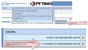 Άδεια για προγραμματισμένη υγειονομική περίθαλψη σε άλλη χώρα της εε ή της εζεσ. Erganh Odhgies Gia Th Symplhrwsh Toy Entypoy 11 1 Adeia Eidikoy Skopoy