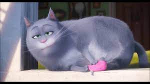 Check out our secret life of pets cat selection for the very best in unique or custom, handmade pieces from our shops. The Secret Life Of Pets Best Of Chloe Youtube