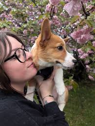 Is my cat's behavior normal after a move?