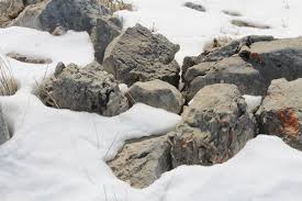 Image result for snow and the rock