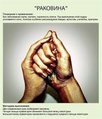 на руках 10 пальцев сколько пальцев на 10 руках 2 Wvtb0bivm Jpg 518 604 Pixeis Lechenie Ruk Joga Kak Obraz Zhizni Uprazhneniya
