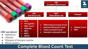 Mean Corpuscular Volume Mcv Blood Test Grow Health