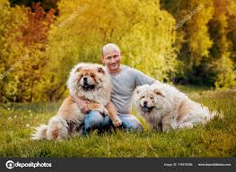 Adult Man Playing His Dogs Chow Chow Park — Stock Photo © Romaset #176475556
