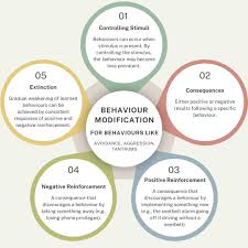 Image result for Behavior Modification