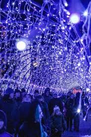 Visitors View The Lights In One Of The Several Tunnels At Bentleyville On Saturday Clint Austin News Tribune Wintry Seasons Tribune