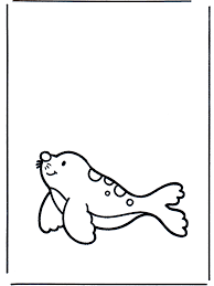 Check spelling or type a new query. Little Seal Animals