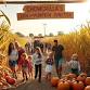 Chowchilla Corn and Pumpkin Junction event image