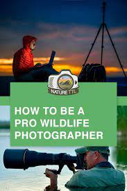 How To Be A Professional Wildlife Photographer Wildlife Photography Tips Digital Photography Lessons Amature Photography