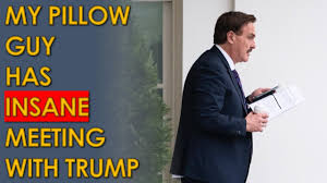Dominion voting systems sued mypillow ceo mike lindell monday for defamation, seeking over $1.3 billion in damages. Trump Meets My Pillow Guy Mike Lindell At White House In Insane Martial Law Plot Youtube