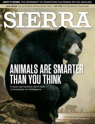 Sierra Magazine March April 2019 Animals Are Smarter Than You Think Animal Intelligence Animals Matter Black Bear