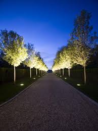 Lighted Pathway Outdoor Landscape Lighting Outdoor Landscaping Driveway Lighting