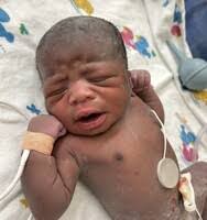 Zelma Harmon's Instagram, Twitter & Facebook