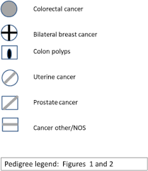 We did not find results for: Brip 1 Germline Mutation And Its Role In Colon Cancer Presentation Of Two Case Reports And Review Of Literature Bmc Medical Genetics Full Text