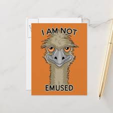 I Am Not Emused Funny Emu Pun Orange Holiday Postcard Zazzle Com Holiday Postcards Postcard Easy Drawings