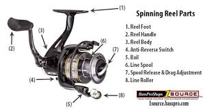 Buying Guide Picking The Best Spinning Reel Bass Pro Shops