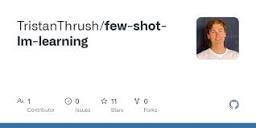 GitHub - TristanThrush/few-shot-lm-learning