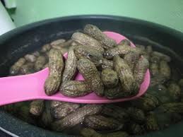 Jadi, pandai pandailah nak mengagak banyak mana air yang hendak diletak. Blog Cikgu Zahidi Masak Rebus Kacang Tanah Berkulit Guna Noxxa
