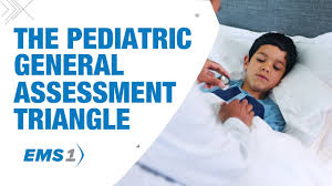 Image result for Pediatric Assessment Triangle