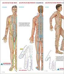 acupuncture points chart meridians set of 3 wall chart