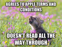 Baby Insanity Wolf Know Your Meme