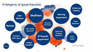 13 Categories Of Special Education By Christine Myers