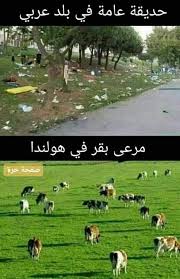 برأيك كيف يمكن ان ينصلح حال العرب Funny Dude Funny Gifs Fails Arabic Funny