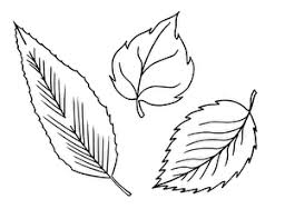Study the fall colors outside and see if you can recreate these reds yellows oranges and browns in your coloring. Fall Leaves Worksheet Education Com