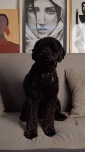 Bienvenidos a @murmura_mx 📸 gracias por ser parte de este gran viaje.