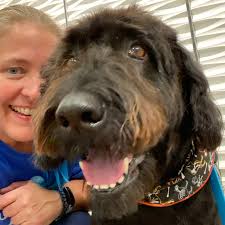 PTPA ** **Tail wags and wet noses forever **❤️ @highlight