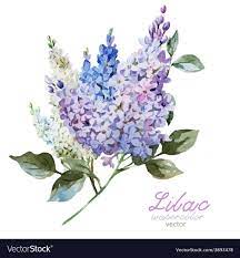 Beautiful Watercolor Vector Lilac Pattern Flowers And Leafs Download A Free Preview Or High Qua Lilac Painting Watercolor Flowers Original Watercolor Painting