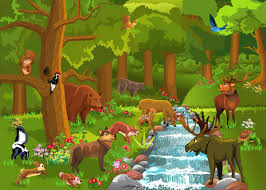 Gambar mewarnai serial animasi disney jungle book. 72 Gambar Ilustrasi Hewan Hutan Hd Terbaik Gambar Hewan