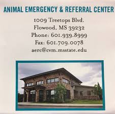 Progressive, quality and empathetic veterinary medicate care! Emergency Veterinarian In Brandon Ms Dogwood Animal Hospital Pet Resort