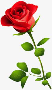Rose Hand Painted Red Flowers Bouquet Hand Painted Bright Clipart Roses Clipart Rose Flower Png Beautiful Flowers Wallpapers Flower Images