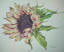 Derwent coloursoft skin tone color pencils (6 pack) derwent. Using Colored Pencil To Create Fine Art