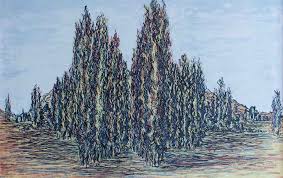 Bildergebnis für Syed Sadequain