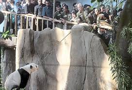 Image result for zoo in malaysia