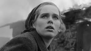 Shame' review by tegan armstrong • Letterboxd