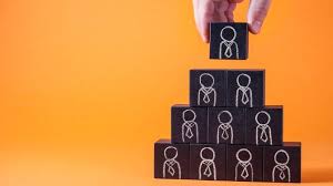 How to use nepotism in a sentence. Portaria Estabelece Procedimentos Para Impedir Nepotismo No Migalhas