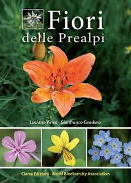 Elenco di tutti i nomi di fiori e piante.generatore di parole gratuito per il gioco nomi cose città animali. Fiori Delle Prealpi Coedizione World Biodiversity Association