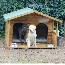 Pets Life Animals And More Adli Kullanicinin Kopek Kulube Panosundaki Pin 2020 Kopek Kulubeleri Kopek Woodstock