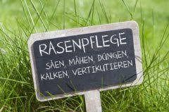 Rasen Kalken Wann Ist Der Richtige Zeitpunkt Gleichzeitig Dungen