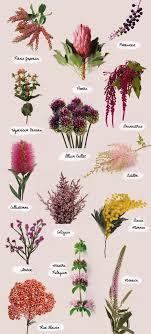 Different Types Of Flowers With Names Meanings And Types Of Flowers With Pictures Blumenarten Arten Von Blumen Blumen