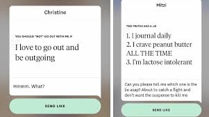 The hinge dating app has called itself the relationship app, saying it's designed to be deleted. but is the hinge app really so different from tinder? Funny Answers To Hinge Questions Funny Png