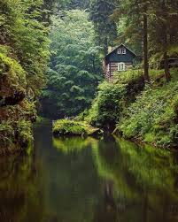 See a detailed description of the hotel, photos and customer feedback. 480 Haus Im Wald Ideen In 2021 Haus Im Wald Haus Architektur