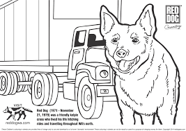 Reddogwa Com Free Red Dog Colouring In Pages For Childrenplease Read Instructions Below At Bottom Of Webpage For Easy Hassle Free Download And Printing Polish your personal project or design with these dog tag transparent png images, make it even more personalized and more attractive. red dog wa