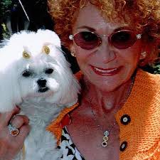 Thief yanks San Jose widow's 6-pound Maltese mix from her SUV