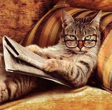 Smart CAT Multiservicios Integrales | Estado de México