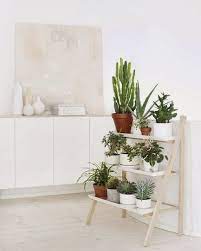 Las plantas son capaces de darle otra apariencia a tu hogar o negocio, logrando crear ambientes completamente diferentes, naturales y más vivos. Decorar Con Plantas La Casa Deco Living Decoracion Plantas Plantas De Interior Decoracion Verde