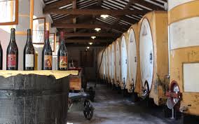 Paltrinieri, solco lambrusco dell'emilia igt. Il Tuo Sorbara In Damigiana Cantina Paltrinieri